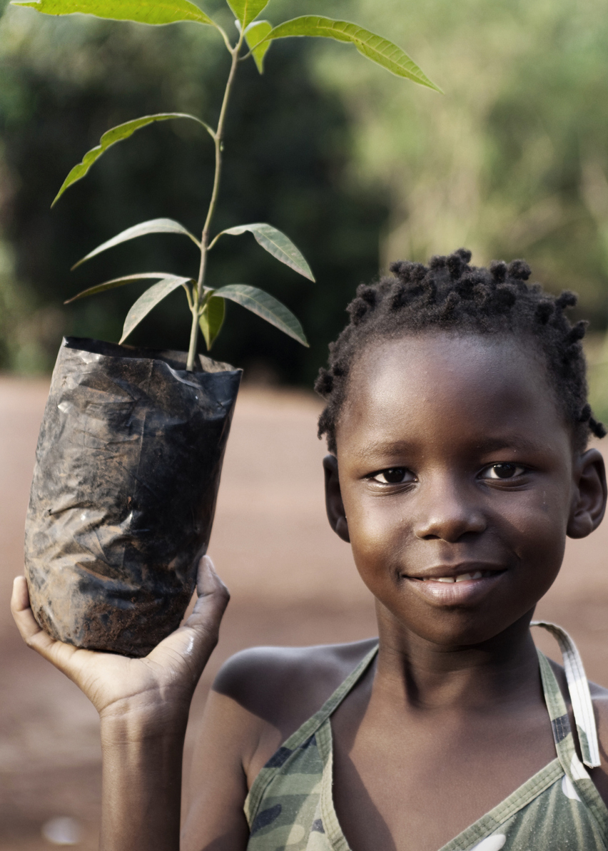 African girl planting mango tree